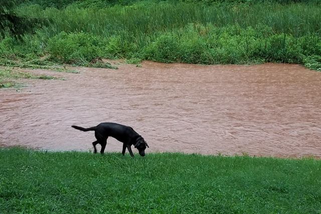 Dynamini update - mother nature intervenes :(