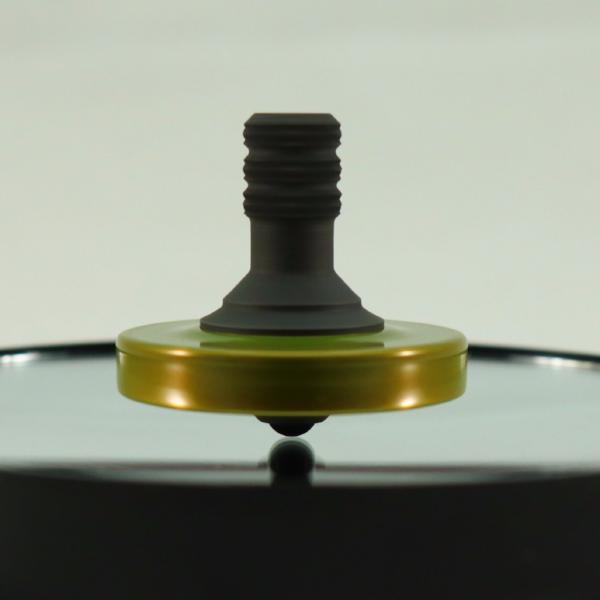 Golden Apple and Blacked out stainless steel precision spinning top - Kemner Design